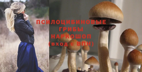 СК Кинешма
