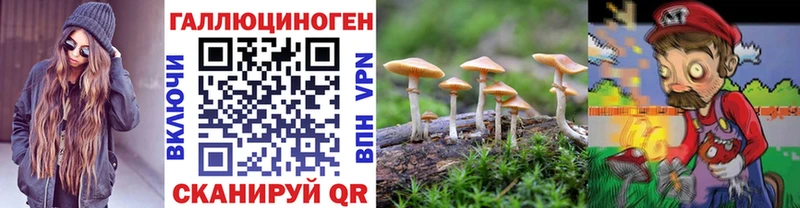 blacksprut ССЫЛКА  Юрьев-Польский  Псилоцибиновые грибы Cubensis 