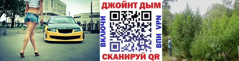 наркота  Юрьев-Польский  Каннабис тримм 